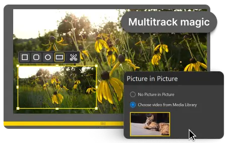 Multitrack & Layers